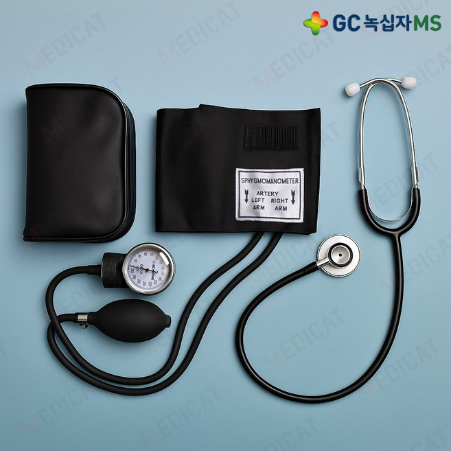 녹십자MS 정품 아네로이드 메타혈압계 수동혈압계 HS-2000+청진기 [메디캣 출고], 1개, HS-2000 수동혈압계 + HS-30B 양면청진기
