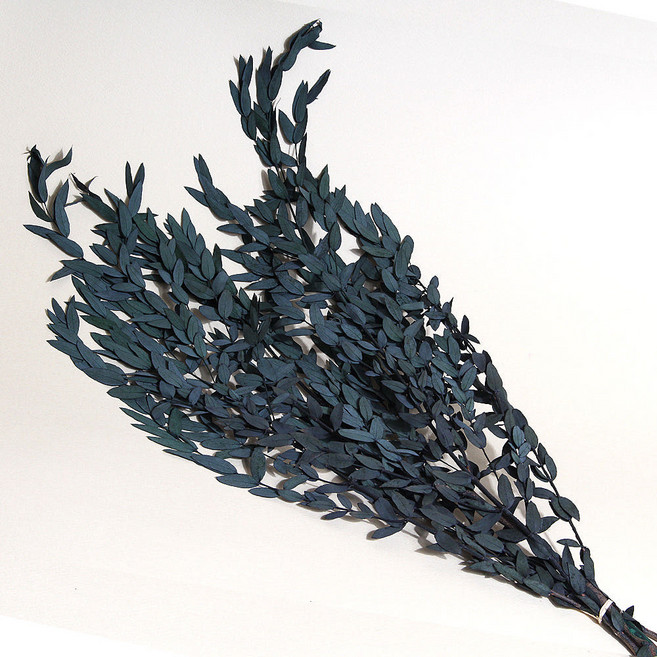 화연양화 대용량 프리저브드 파블로 유칼립투스 유칼리리프 한단 도매, 대용량 파블로 유칼립투스