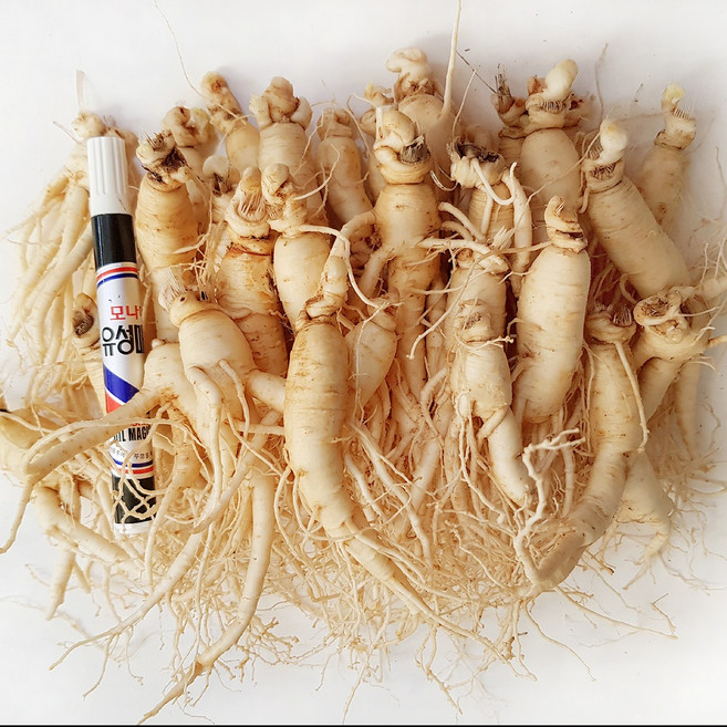 [GAP 인증 인삼] 농부가 직접 드리는 6년근-5년근 못난이 인삼(난발삼) 무료세척 예쁜 정품수삼 파삼 홍삼액달임오쿠 인삼튀김 삼계탕 인삼라떼(믹서) 인삼주, 750g, 1개, 세척안함, 2.콩난발(750g,30뿌리내외)