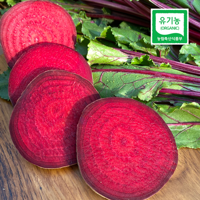 유기농 햇 비트 26년 수확 레드비트 산지직송, 1박스, 3kg