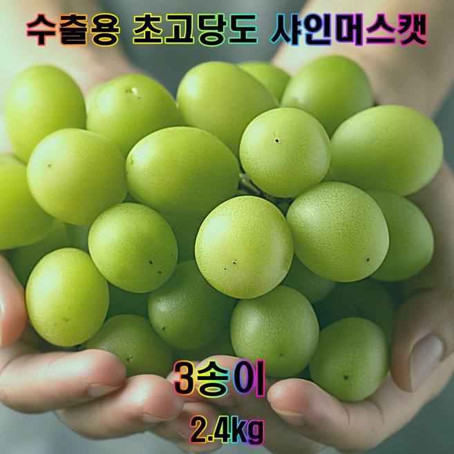 샤인머스캣 프리미엄 고당도 망고포도 선물세트 수출용 가정용 1kg 2kg, 1개, 대과 2.4kg내외 (3송이)