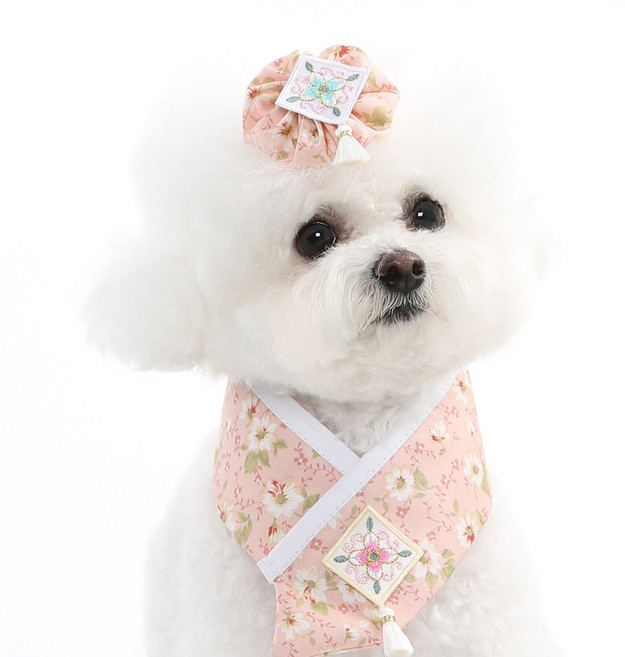 강아지 고양이용 설날 설빔 추석 한복 목도리 스카프 단아 한복 케이프, 분홍, 1개