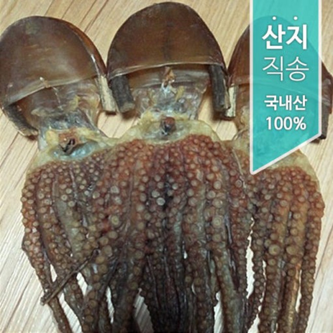 남해안 말린 피문어 건조문어 마리당 소중대사이즈, 1개, 대사이즈