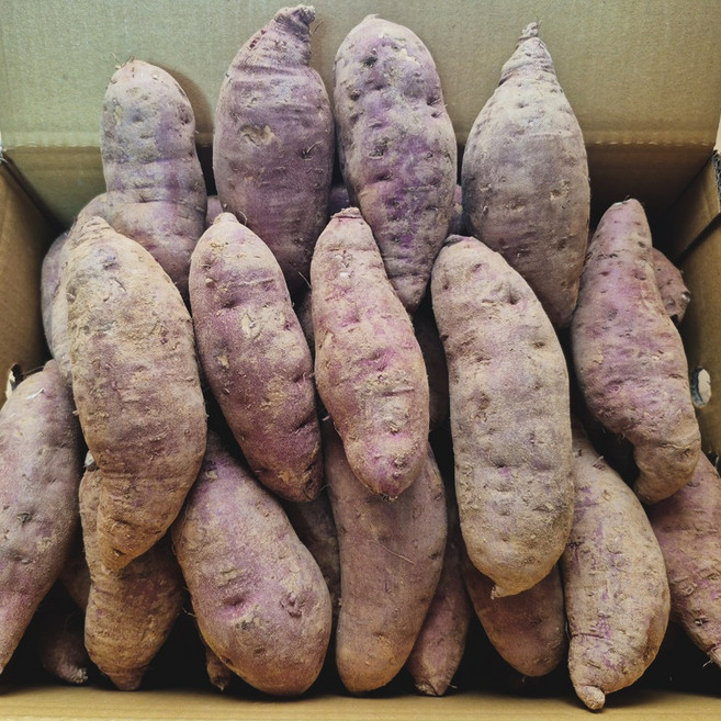 유기농 비세척 꿀고구마 베니하루카 3kg 5kg 10kg, 1박스, 5kg하(80g~180g)