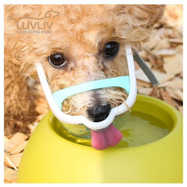 루브립 마우스핏 강아지 투명 입마개, DCM-A-BR(애플 브라운), 1개