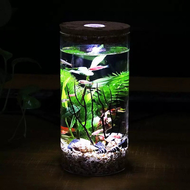造景瓶 玻璃生態瓶 微景觀水族箱 鬥魚缸 辦公桌擺件, 1個