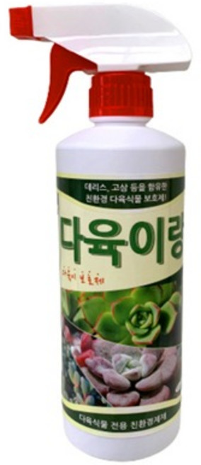 대성식물 다육이랑 500ml, 1개