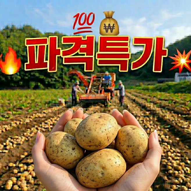 26년 갓수확 고소한 수미감자 햇 감자 국내산 산지직송, 1개, 2kg(중)