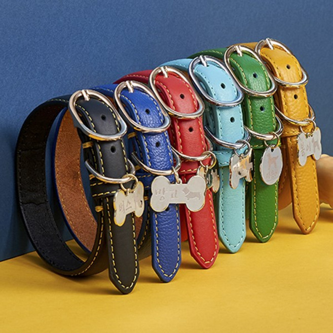 자체제작 아미펫 실루엣 각인 컬러가죽 강아지목줄 & 인식표, 민트뼈다귀펜던트, 1개