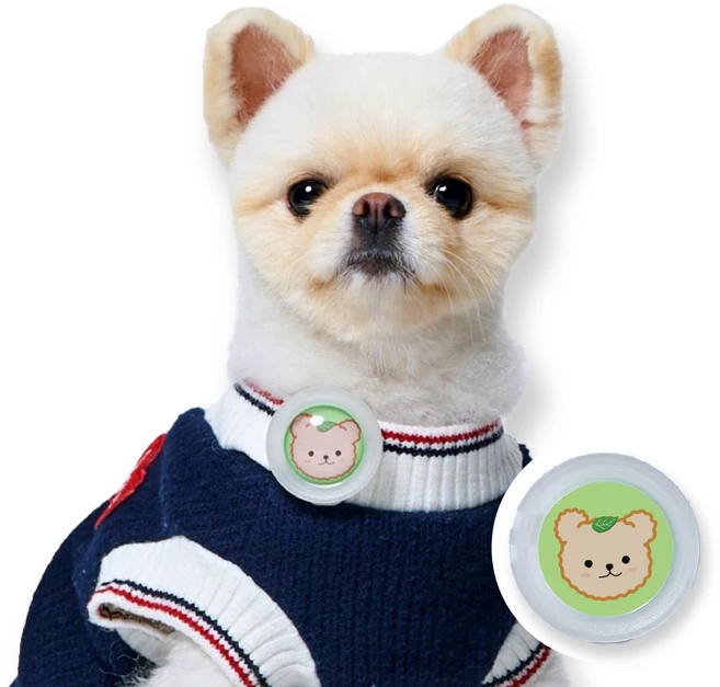 강아지 진드기 퇴치 산책 클립, 2. 야광클립 1개 (베어), 베어, 1개, 3ml - 쿠팡