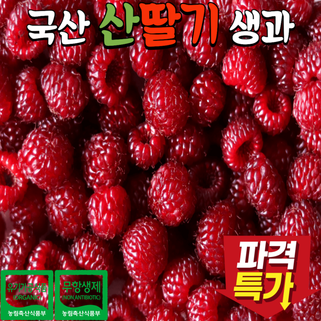 산딸기 완벽 가이드 — 선택 방법부터 주의사항까지