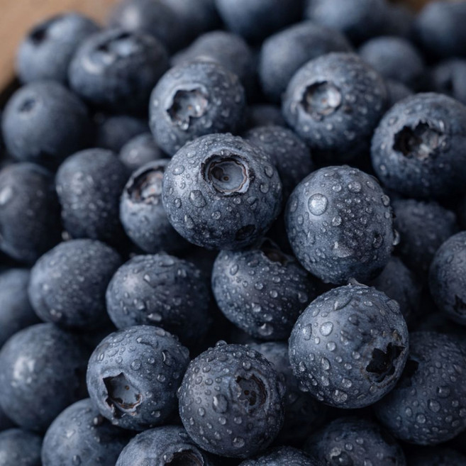 국내산 당일수확 생 블루베리 톡톡터지는 새콤달콤 16mm 왕특 농장직송, 1세트, 500g