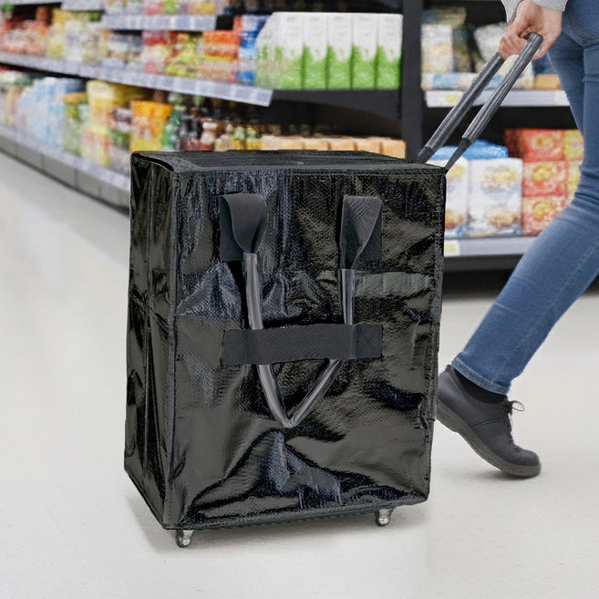 AEGEN 더 부드러운 바퀴탈착 캐리어 접이식 장바구니 여행 쇼핑카트, 블랙, 1개