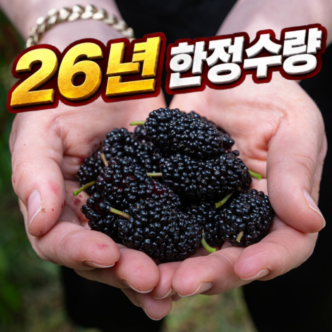 [특품선별] 2026햇 국산 오디 생과급냉, 1박스, 2kg