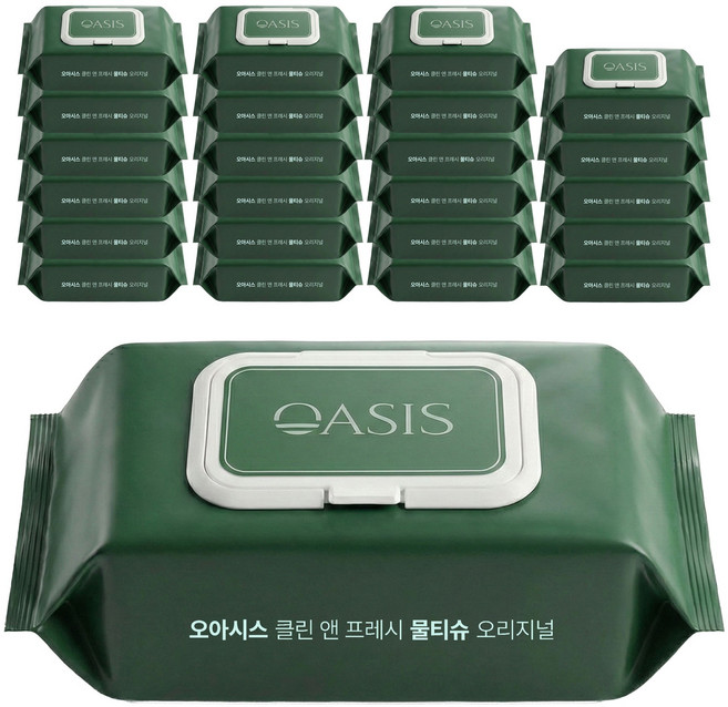 오아시스 캡형 물티슈 항균 일반용 480g, 24개, 80매, 45g