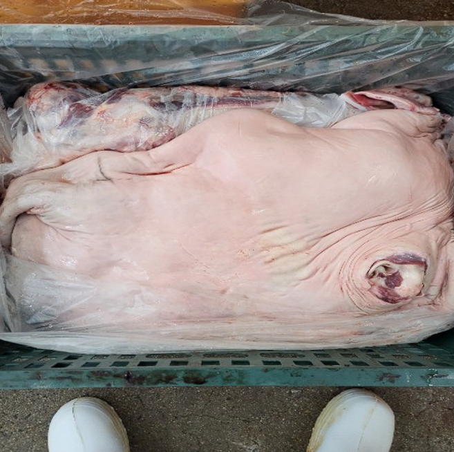 대감식품 국내산 도매 소머리 생물 13kg 한우 암소, 15kg, 1개