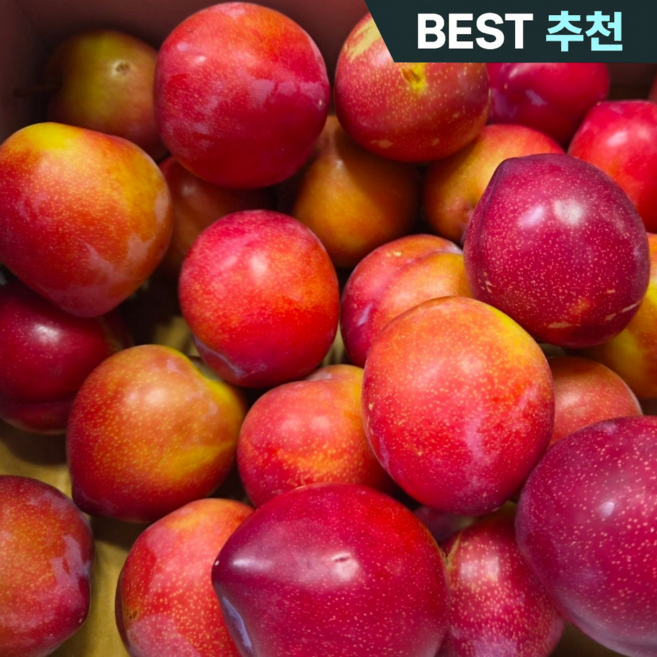 [초특가할인] 제철 국내산 고당도 꿀 자두, 1박스, 2kg