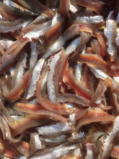 기장멸치 생멸치 손질멸치, 1개, 조림용