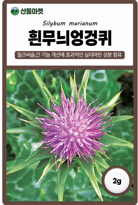 다농 흰무늬엉겅퀴 씨앗 2g 우유엉겅퀴 밀크씨슬 꽃씨 종자, 3개