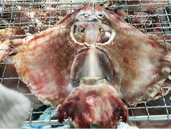 맛있는 반건조 간재미 간자미 깔끔하고 신선해요, 2개, 소 2미 500g 내외