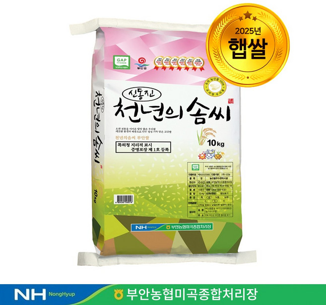 25년 햅쌀 당일도정 천년의솜씨 신동진쌀, 10kg, 1개, 상등급