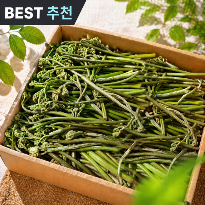 [고사리장인판매] 2026년도수확 국산 고사리 생고사리, 1박스, 1kg