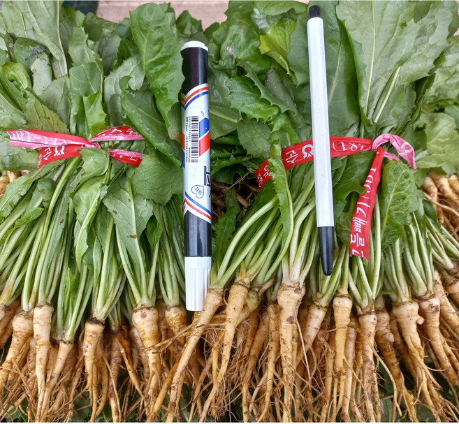 참농인고들빼기5단(하늘이내린약초 ), 350g, 1박스, 1.75kg