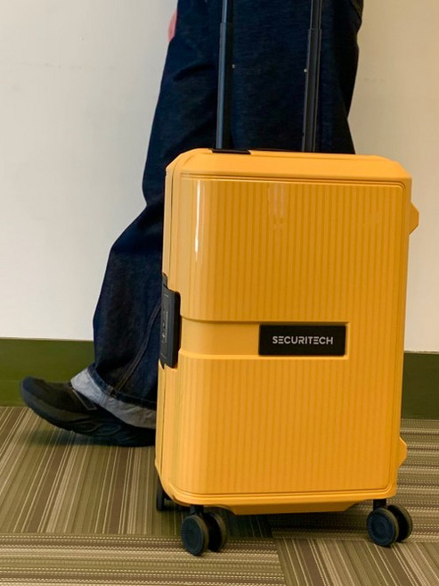 DELSEY 기내 캐리어 여행 스톤 여행용 20인치 25인치 29인치 기내용 수화물용 여행캐리어