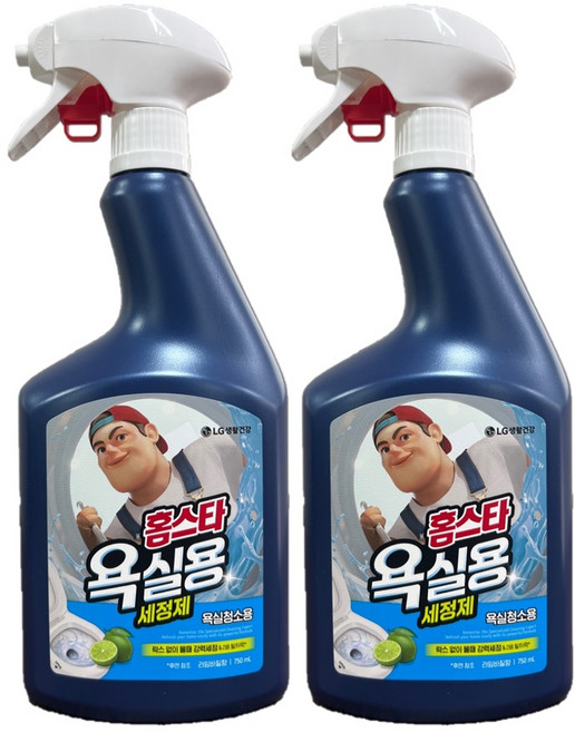 홈스타 바이럭스 욕실용 세정제 750ml, 2개