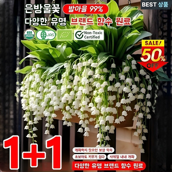 【매달린 화분 은방울꽃 】풍부한 향기과 모기 퇴치 사계절 개화, 200알, 화분 스타일 (혼합 색상)