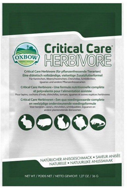 옥스보우 크리티컬 케어, 1개, 36g