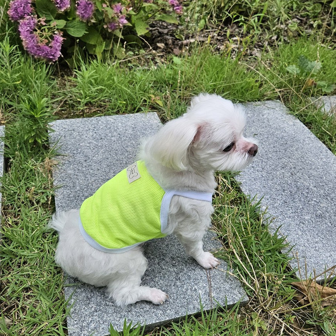 쿨에버 매쉬 쿨나시 강아지 쿨링티 강아지여름옷 냉감옷 S-2XL, 핑크, 1개