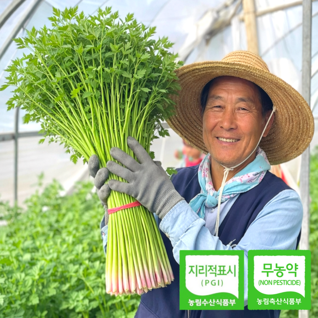 [하루30박스한정판매] 아삭달달끝판왕 초고급 청도한재미나리, 1박스, 1kg