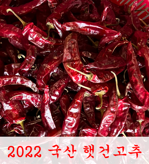 [일호농산]2022 경북 군위 햇고추 최상등급 1근 5근 10근, 1근(600g), 1개
