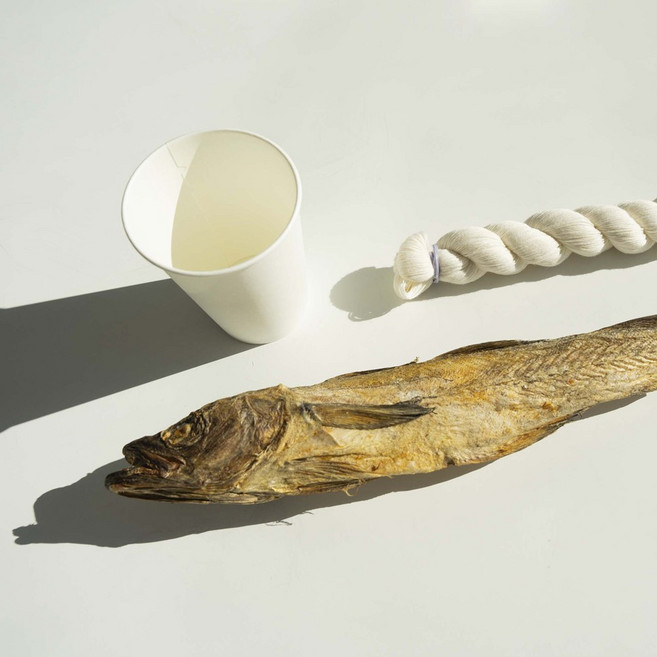 새차고사 신차고사 자동차고사 세트, 간단 고사 세트, 1개