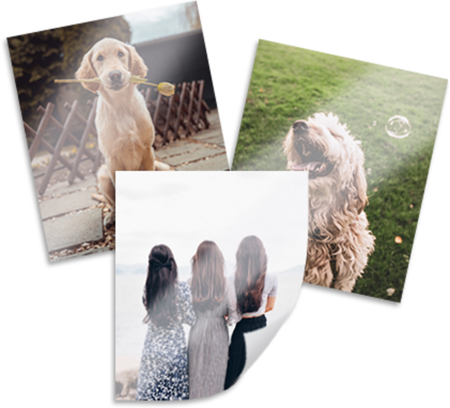 스튜디오 대한 찰칵포토 온라인 사진인화 [디지털 은염 사진], 1장, mini (8.3cmx10.2cm)