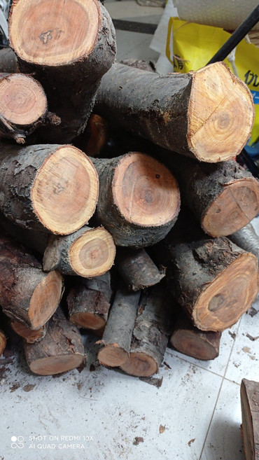 老桃木原木 6顆紅心桃木料 實心圓柱木條 長約1米 直徑約11-15釐米, 如圖所示, 1個