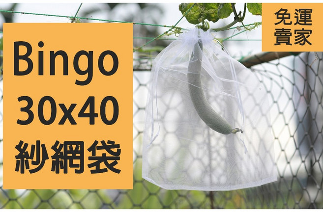 賓購 Bingo 30x40cm 雙拉繩紗網袋 水果防蟲套袋 透氣耐用 適用多種瓜果, 1個, 現貨30X40白色50個