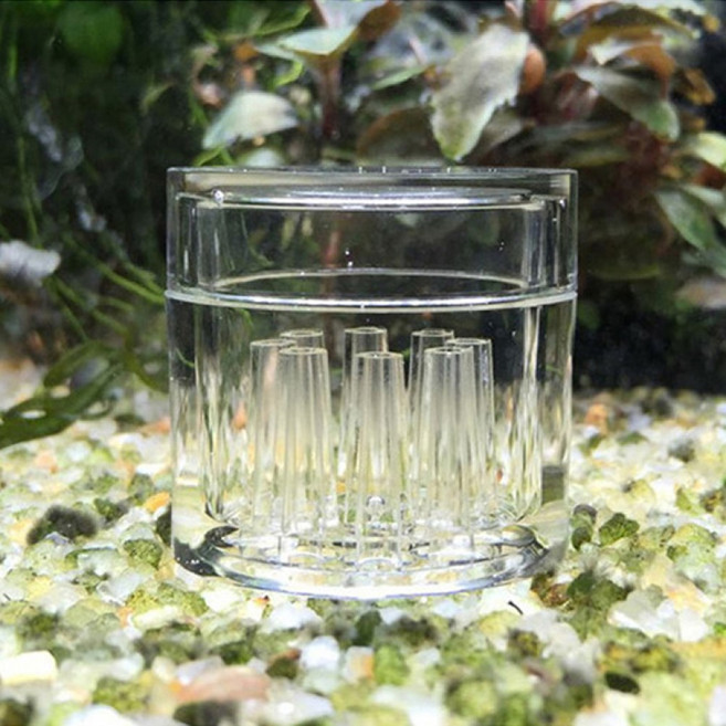 어항 달팽이제거 달팽이제거제 물 달팽이트랩, 1개