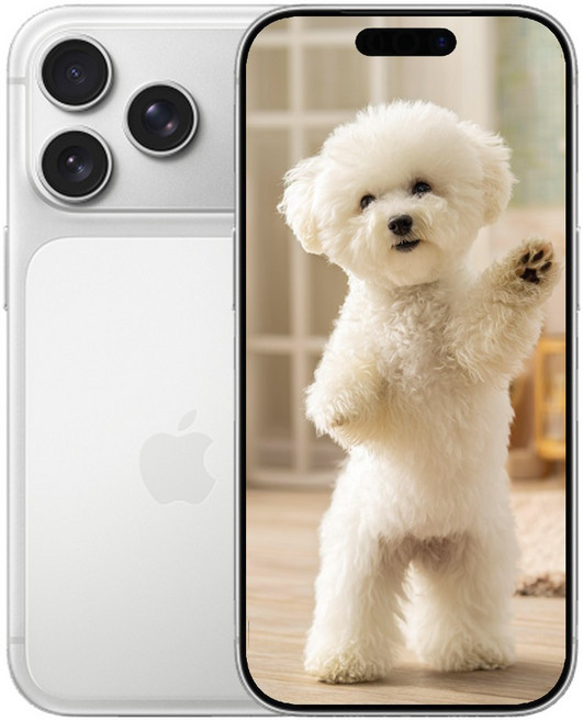 아E폰 17 Pro 새상품 미개봉, 512GB, Apple 아이폰 17 Pro 실버