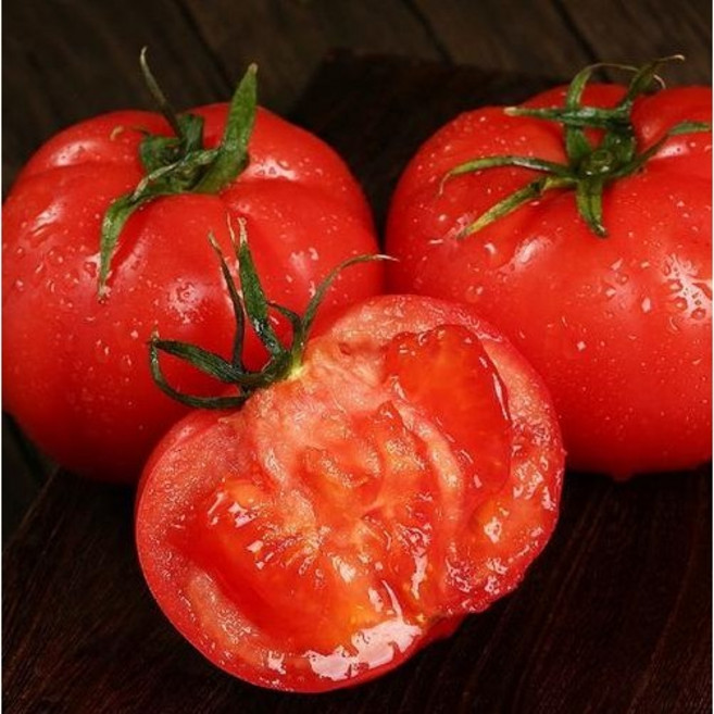 [전략단가할인]환상적품질 조기품절주의 정품 산지시즌 완숙토마토, 1박스, 10kg