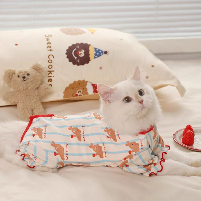 랜보어 반려동물 중성화복, 애플래빗, 1개