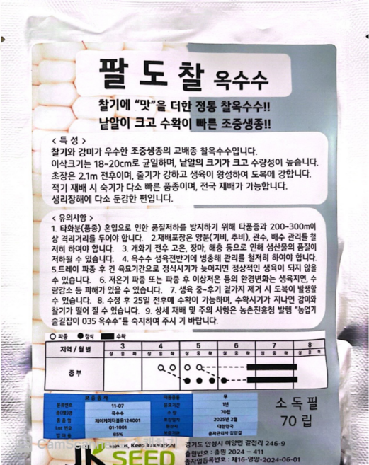 신품종 찰옥수수 씨앗 흰찰옥수수종자 팔도찰 100립 미백 대학찰, 1개