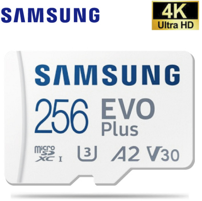 아이나비 팅크웨어 내셔널지오그래픽 NC200 짐벌캠전용 SD메모리카드 256GB, 1개