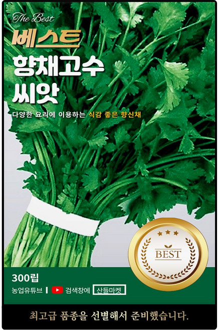 베스트 향채 고수 씨앗 300립 특이한 향이 있는 식감 좋은 향신채 고수씨 종자, 2개
