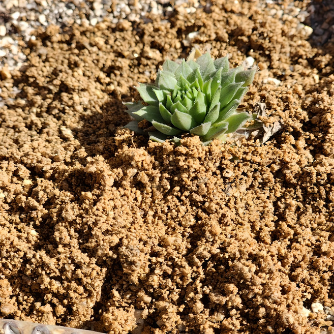 위드블럭 분갈이 조경용 마사토, 1개, 28kg