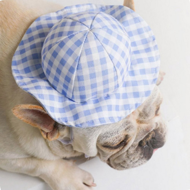 귀여운 유아 선캡 강아지 UV차단 통기성 메쉬 캐릭터 경량