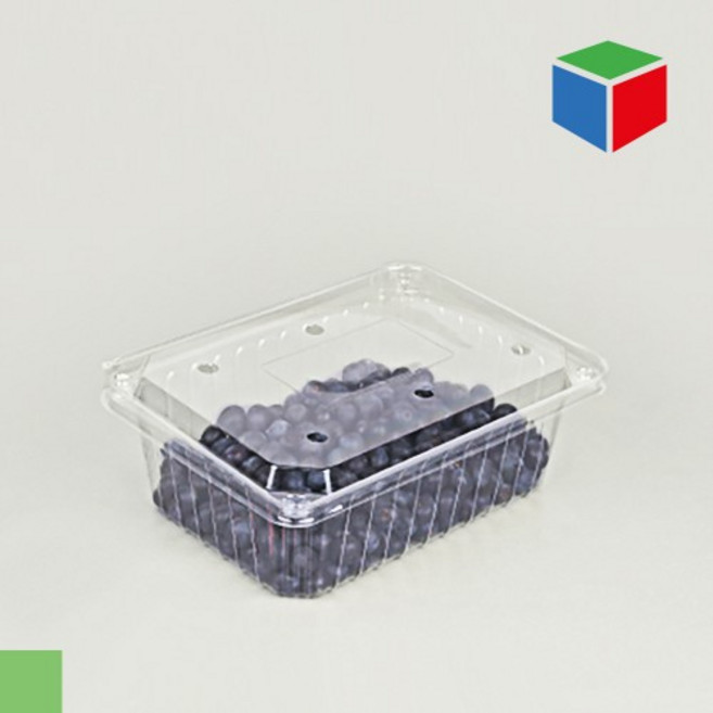 PET용기 KMD-802 블루베리1kg #, 200개