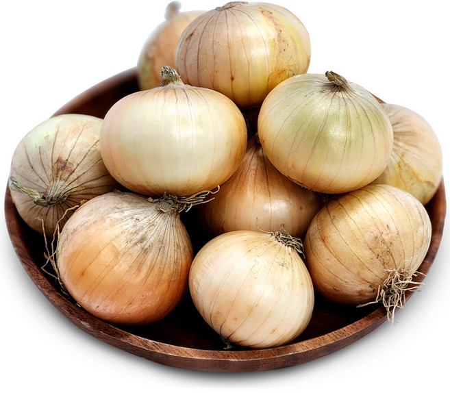 [울팜] 국내산 장아찌용 창녕 꼬마 양파, 1개, 양파(장아찌용) 1kg