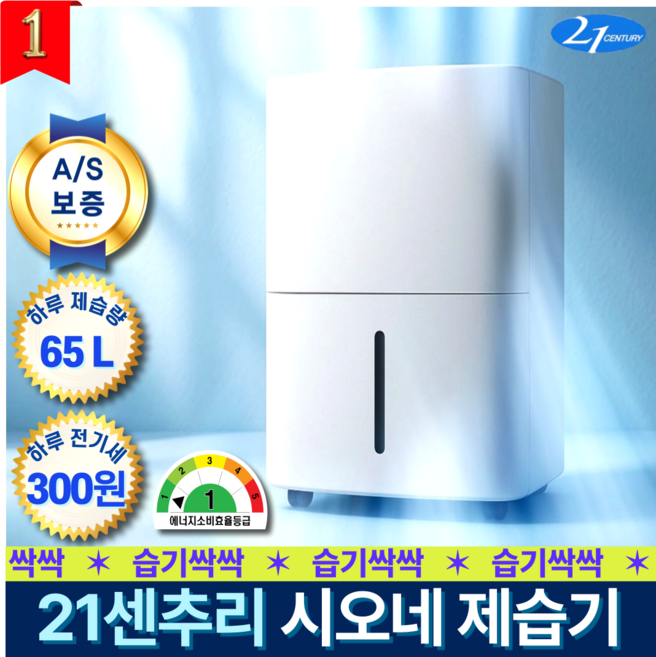 [1등급]21센추리 시오네 제습기 65L 가정용 업소용 대용량